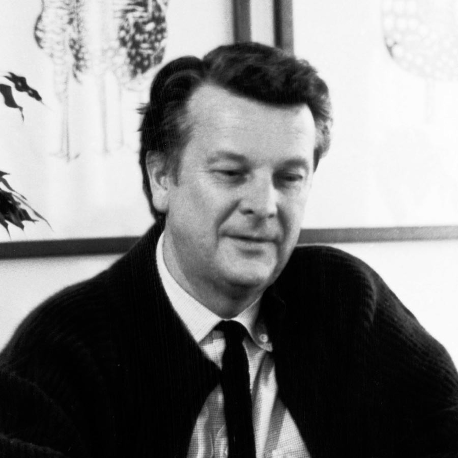 tito agnoli tito agnoli