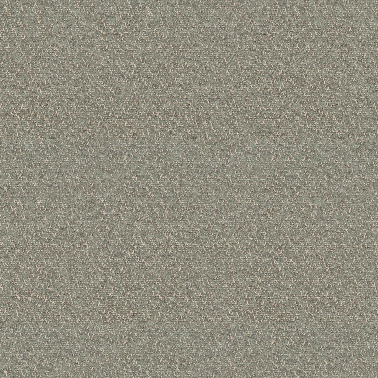 GABAN | B CATEGORY 5