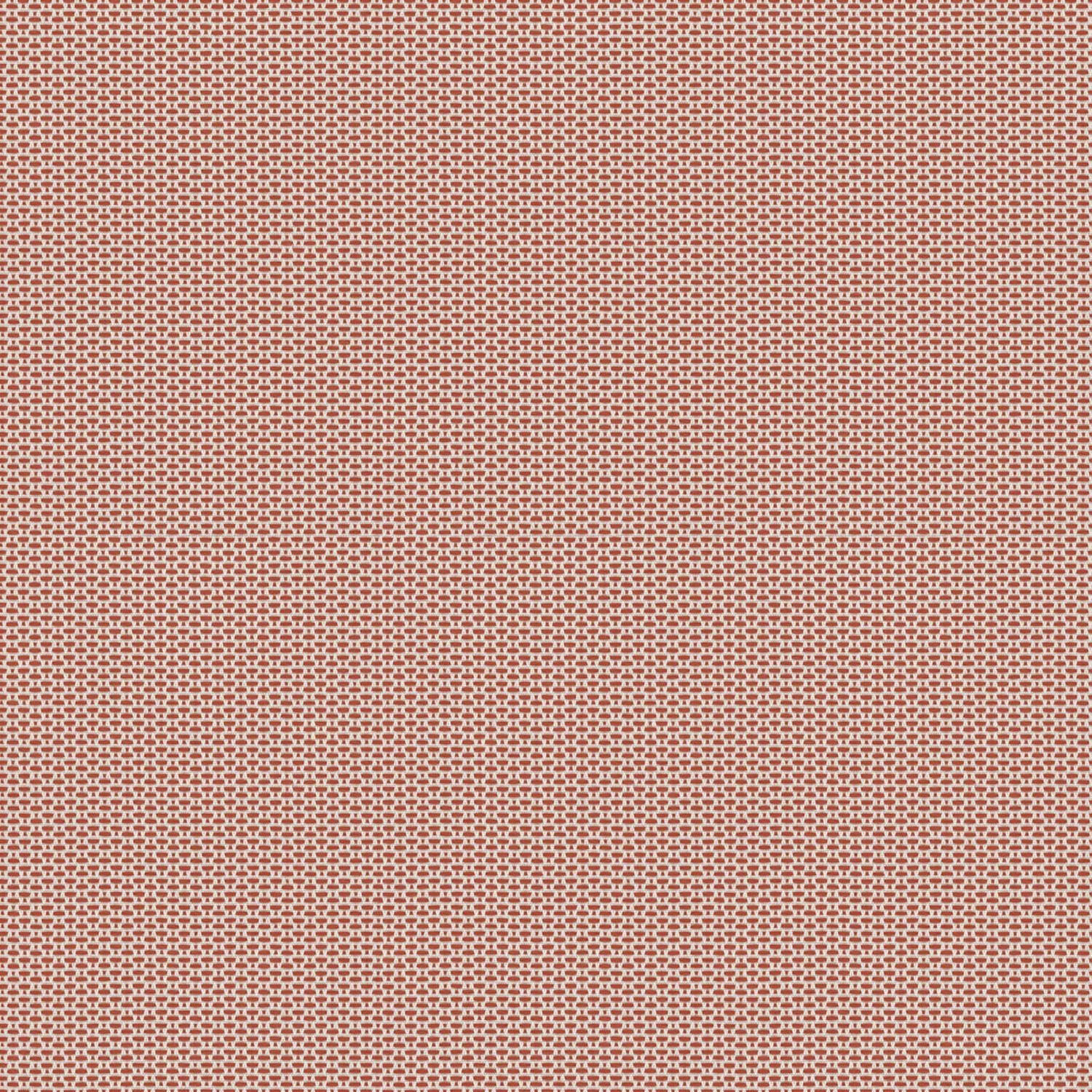 GRAIN 30/28 RUGGINE