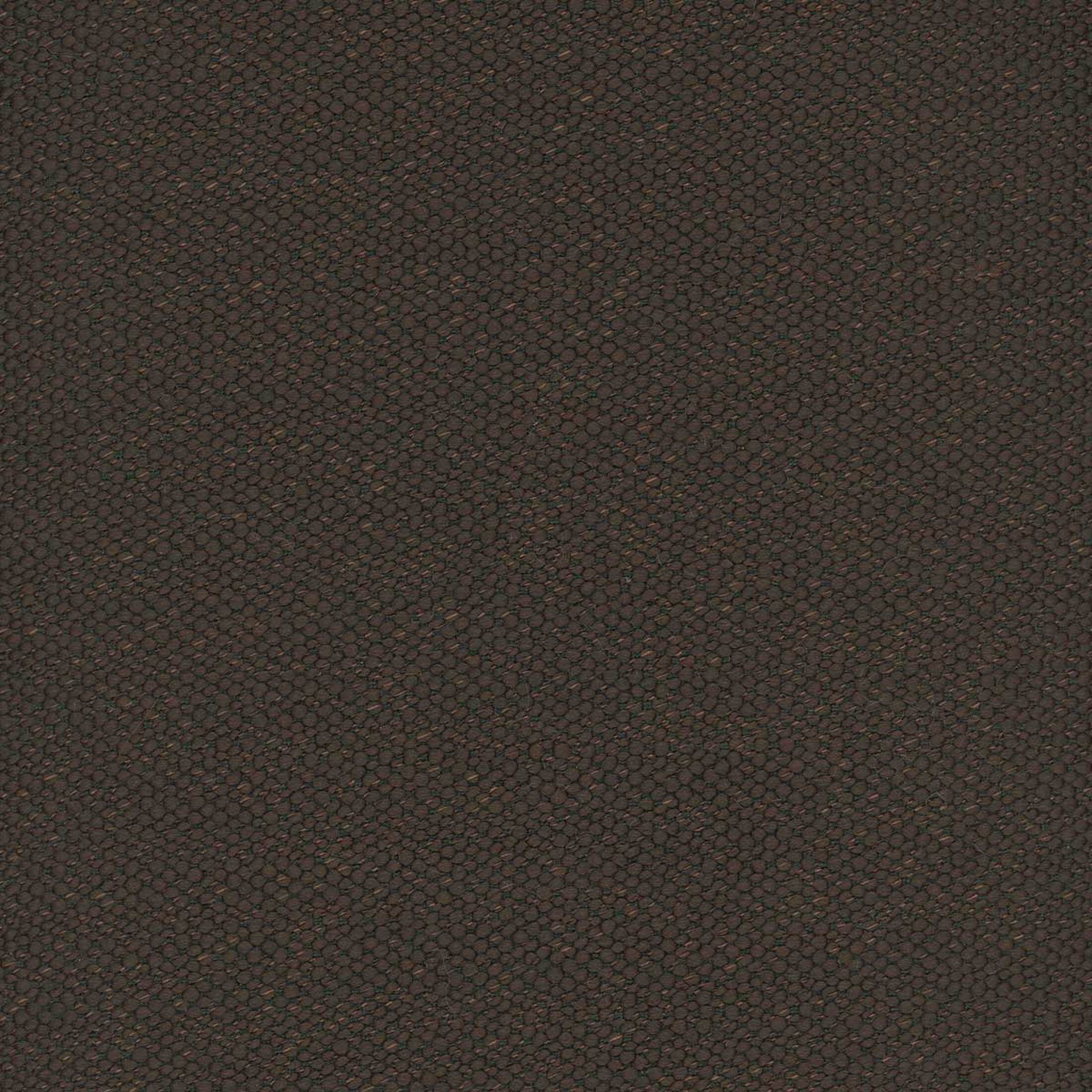 Kalahari