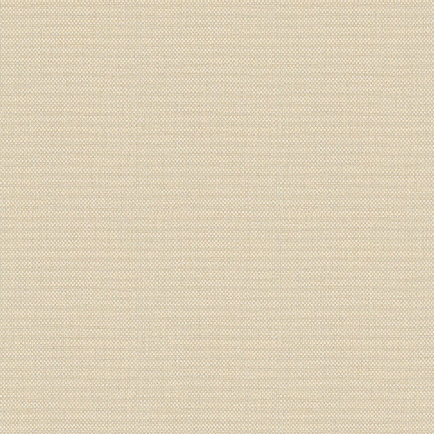 PENELOPE | CATEGORY B 1700