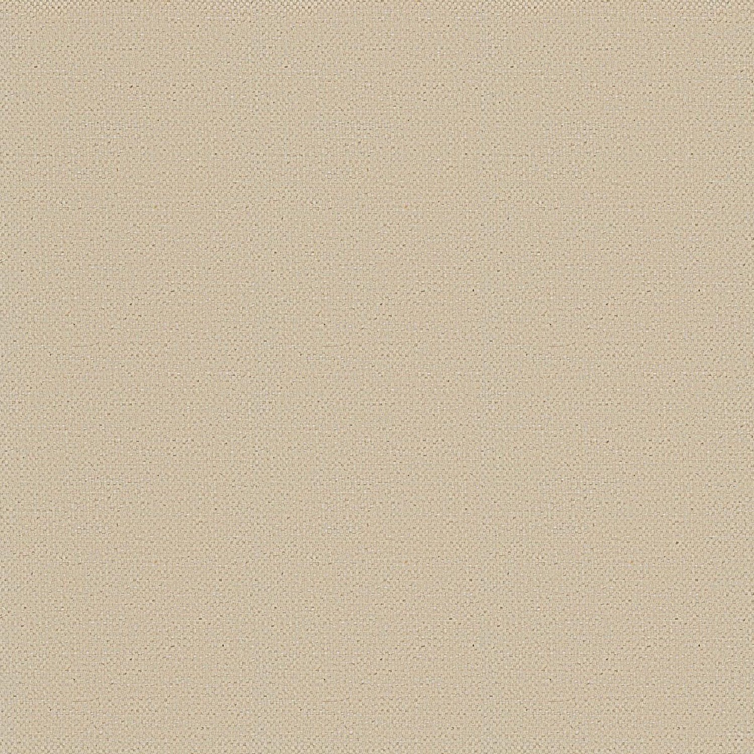 PENELOPE | CATEGORY B 1705