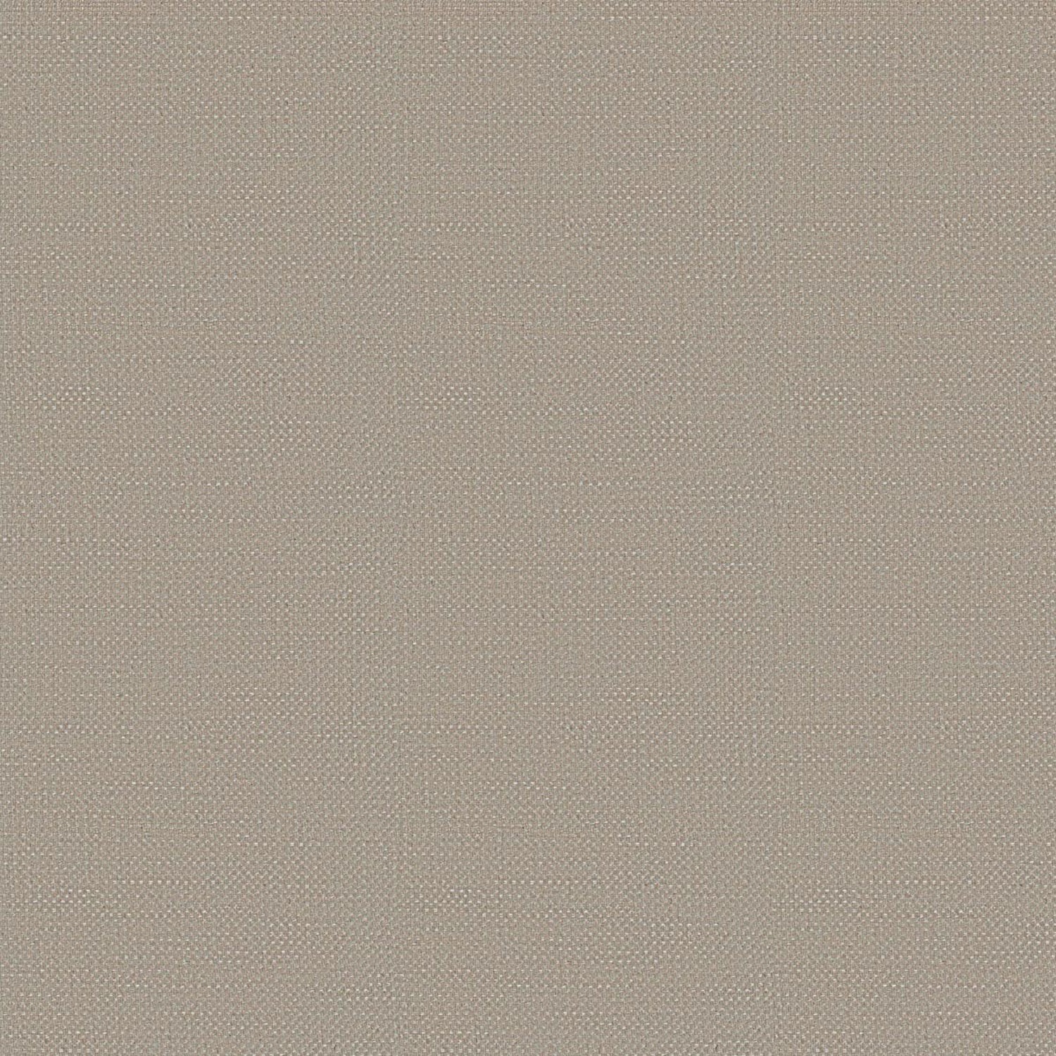 PENELOPE | CATEGORY B 1710