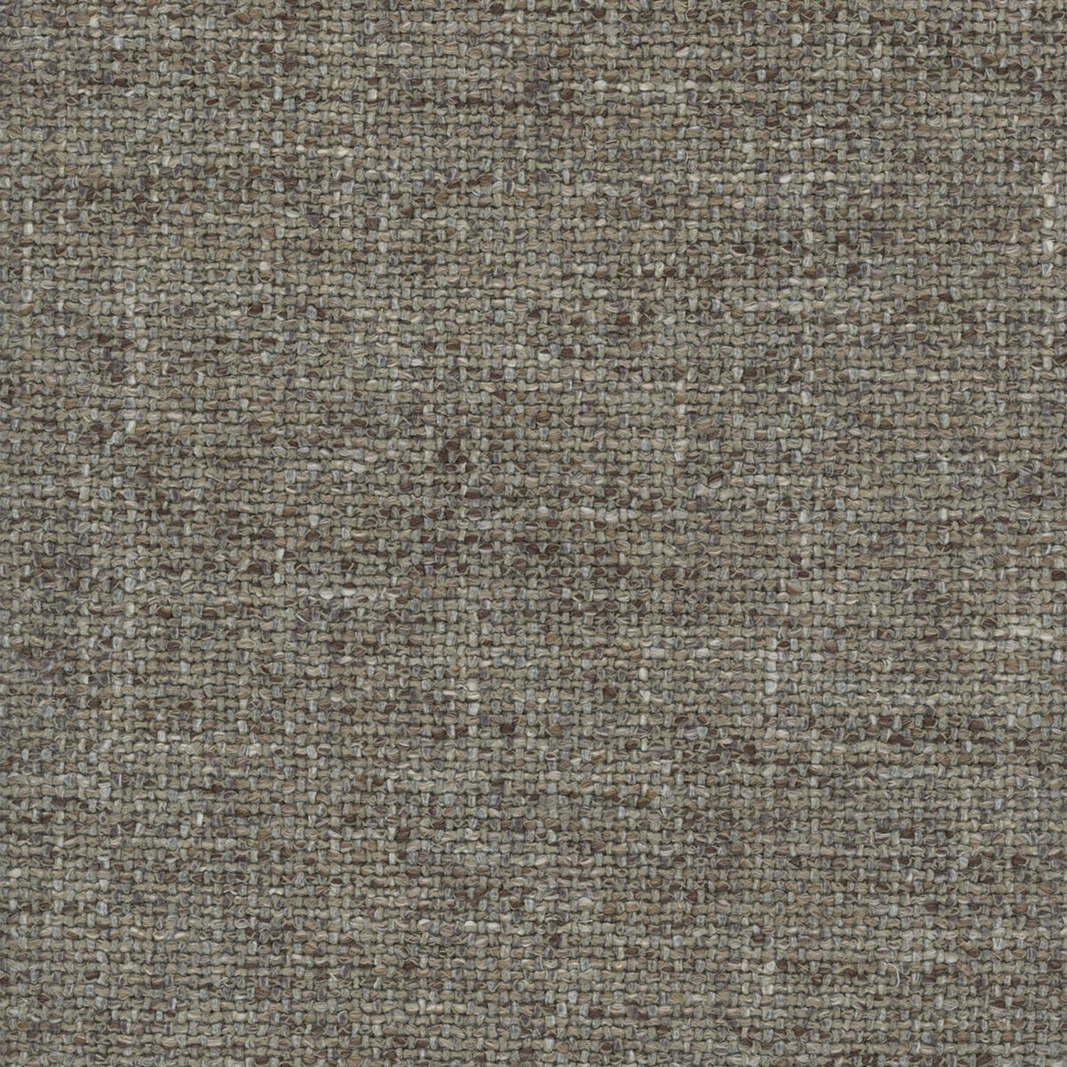 SOLSTICE | CATEGORY A PEPPERCORN