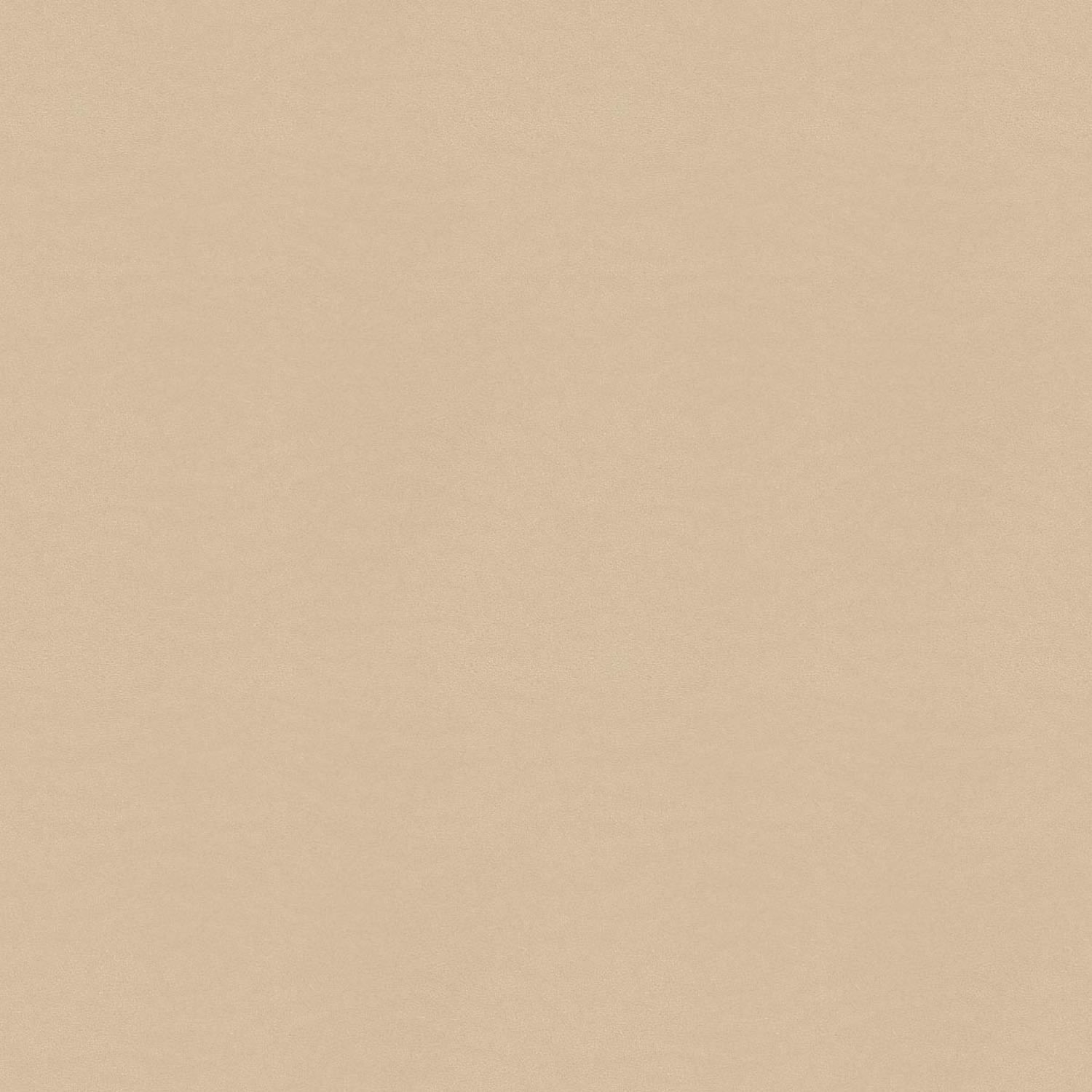 RE-SADDLE AVORIO