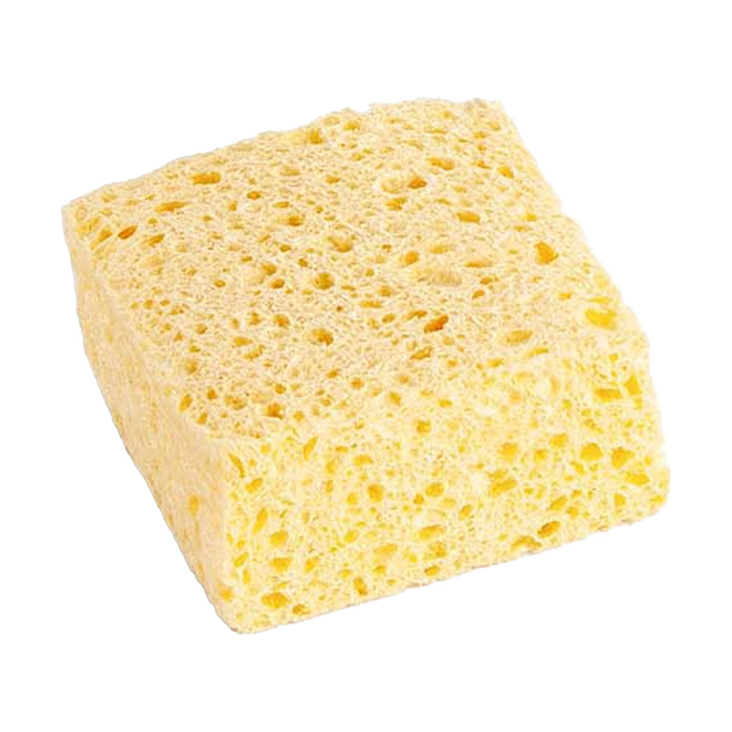 SPONGE