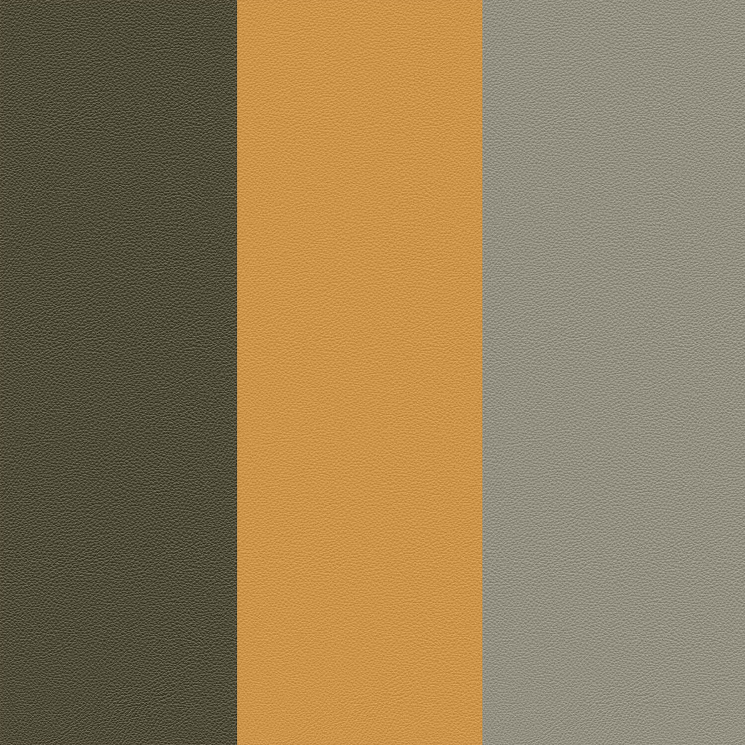 LIMO - GINGER BREAD - GLAUCO