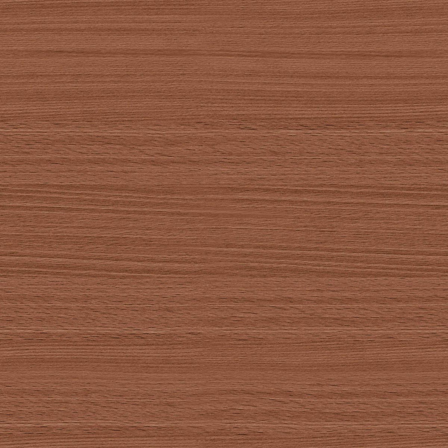 MEDIUM WALNUT