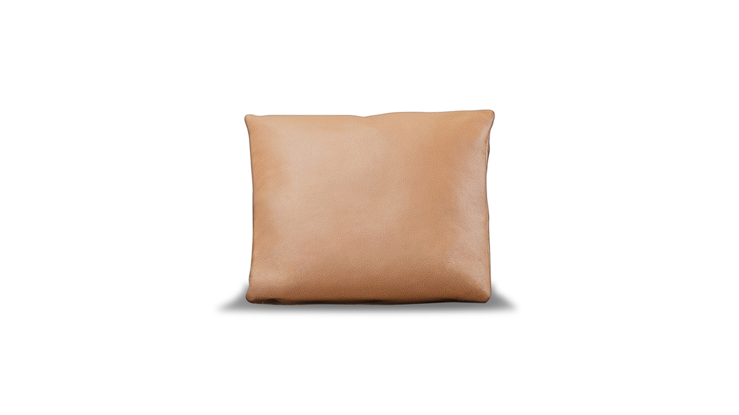 cushion.jpg cushion