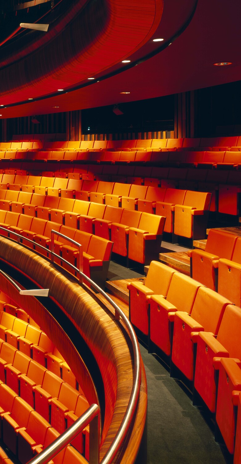 Neos armchair by Poltrona Frau: steel and MDF structure with automatic fold-up seat, fire-retardant padding, and an elegant, functional design.