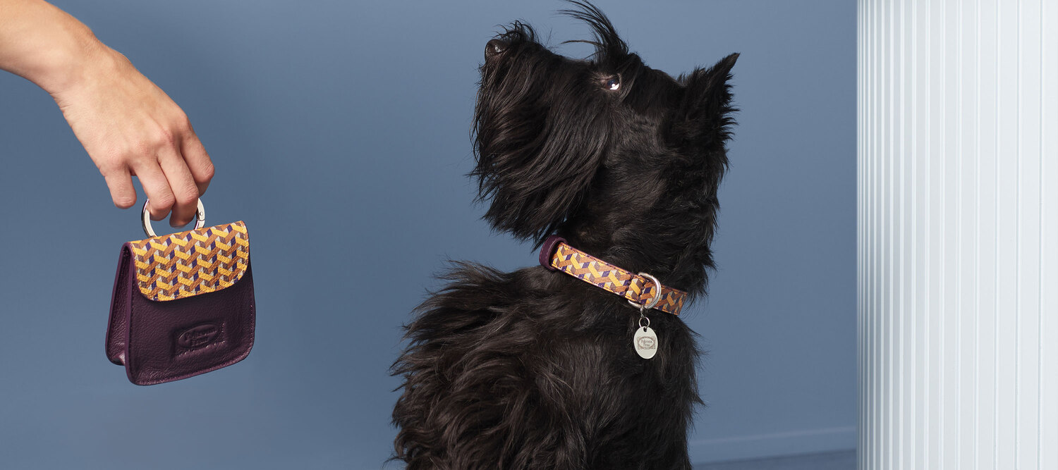 Pet collection | Keks-Tasche Pet Collection Keks-Tasche von Poltrona Frau aus schwarzem Pelle Frau® Motif Weavers Leder mit Karabiner, italienisches Luxus-Handwerk und Design