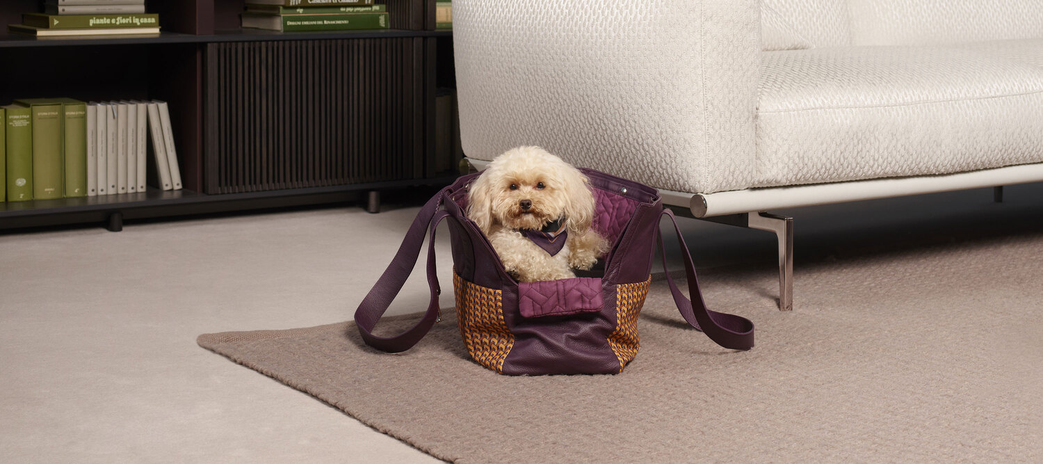 Sac de transport Pet Collection Poltrona Frau en Pelle Frau® avec détails Motif Weavers, bandoulière renforcée, artisanat et design de luxe italien