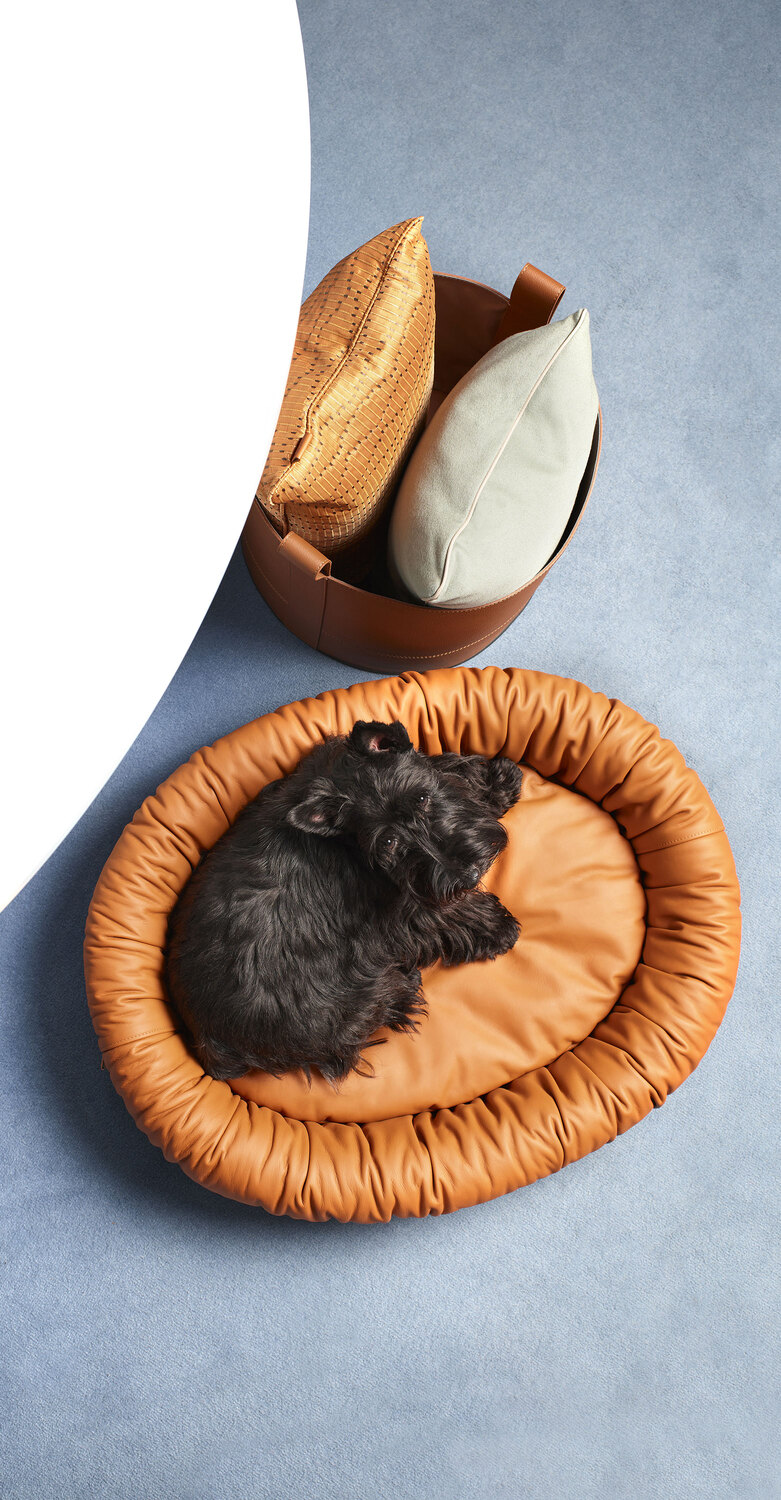 Pet collection | Dog bed Pet Collection dog bed by Poltrona Frau, oval in Pelle Frau® leather, FSC wood frame and removable cushion, Italian luxury craftsmanship and design