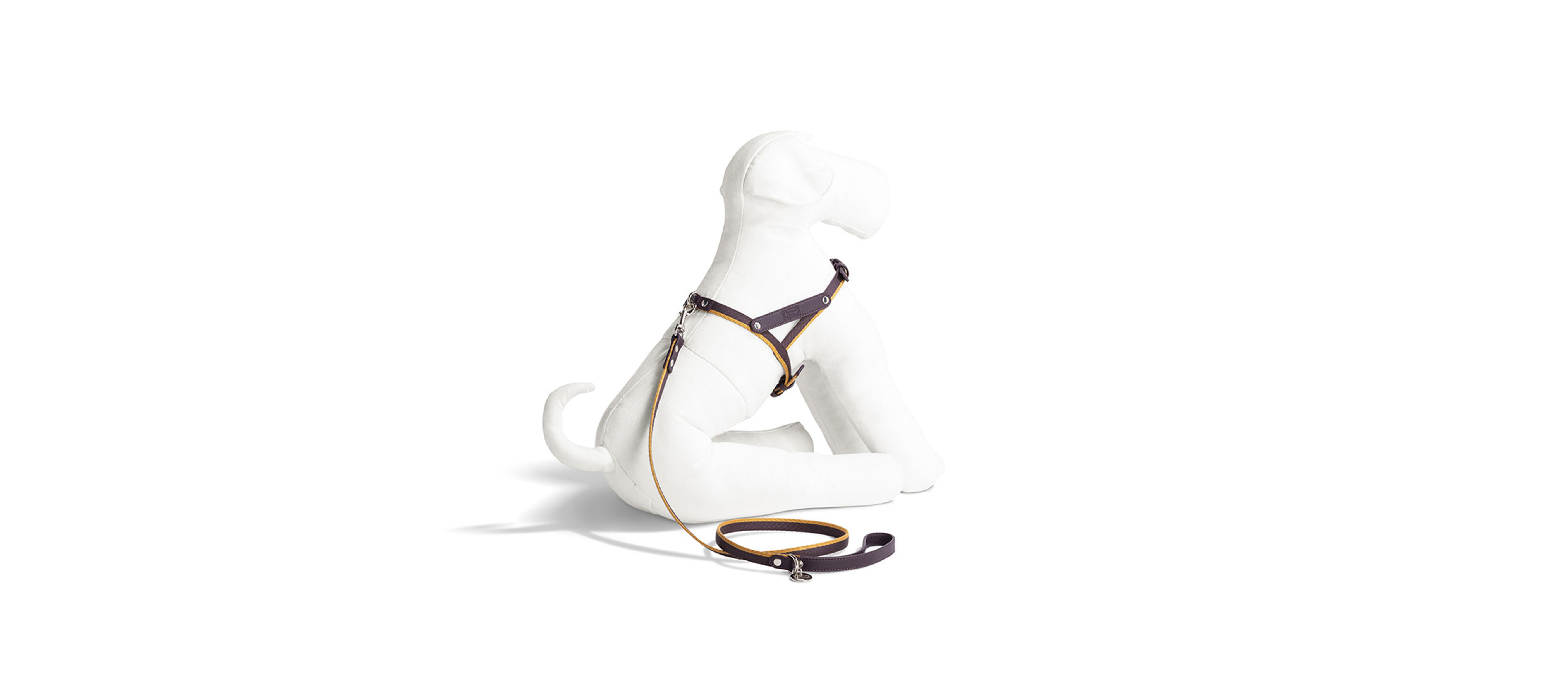 Pet collection | Harness