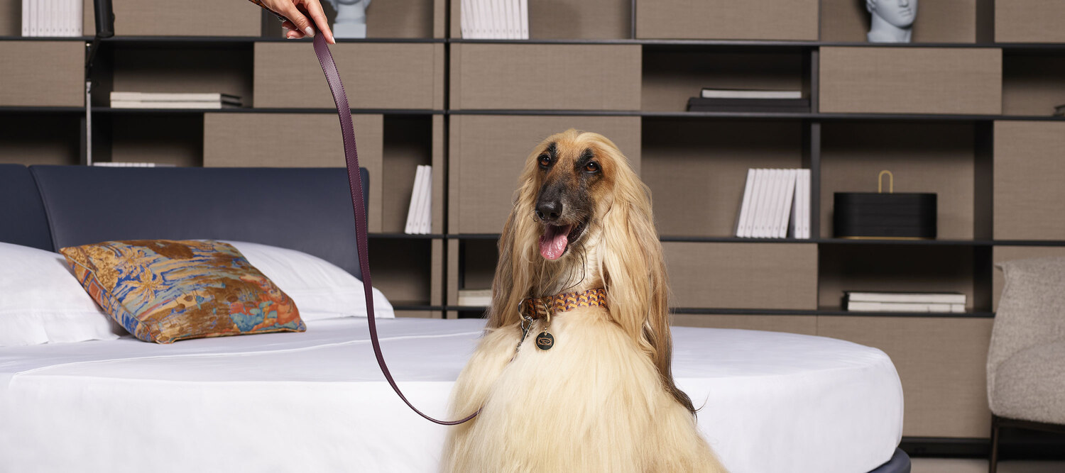 Pet collection | Correa Correa Pet Collection de Poltrona Frau en Pelle Frau® o jacquard, asa de cuero, detalles de latón, artesanía y diseño de lujo italiano