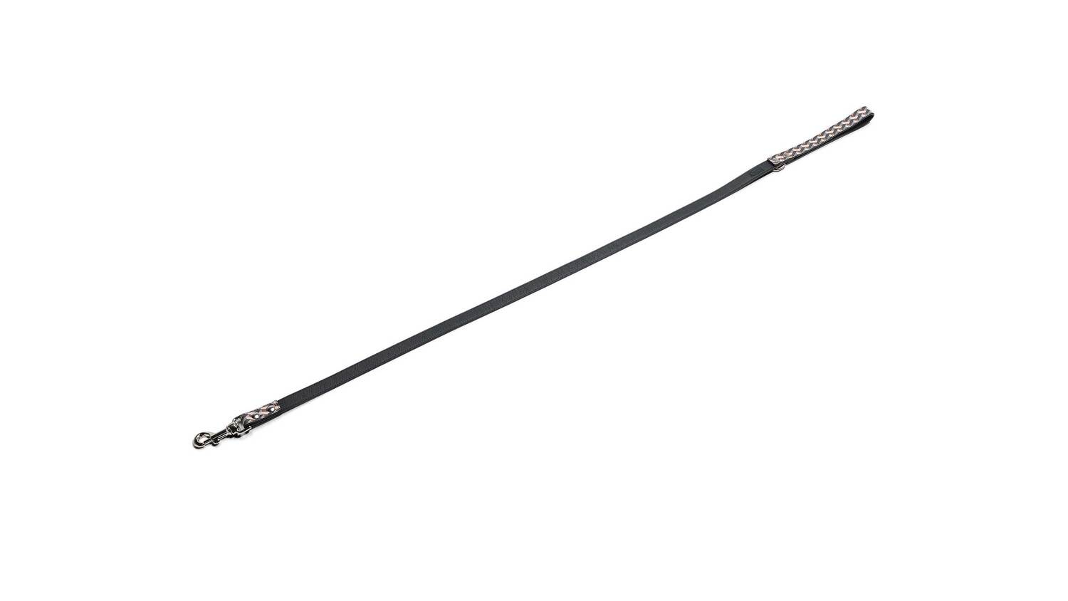 pet leash pet leash