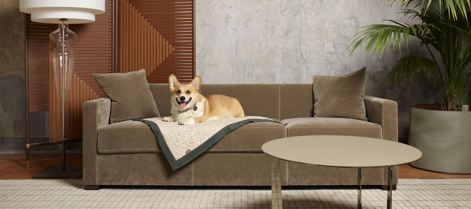 Pet collection | Plaid Pet Collection sofa plaid by Poltrona Frau in wool and cashmere, quilted waterproof side, Italian luxury craftsmanship and design