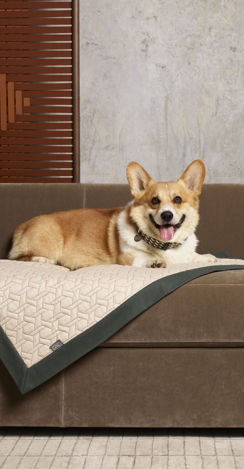 Pet collection | Plaid Pet Collection sofa plaid by Poltrona Frau in wool and cashmere, quilted waterproof side, Italian luxury craftsmanship and design