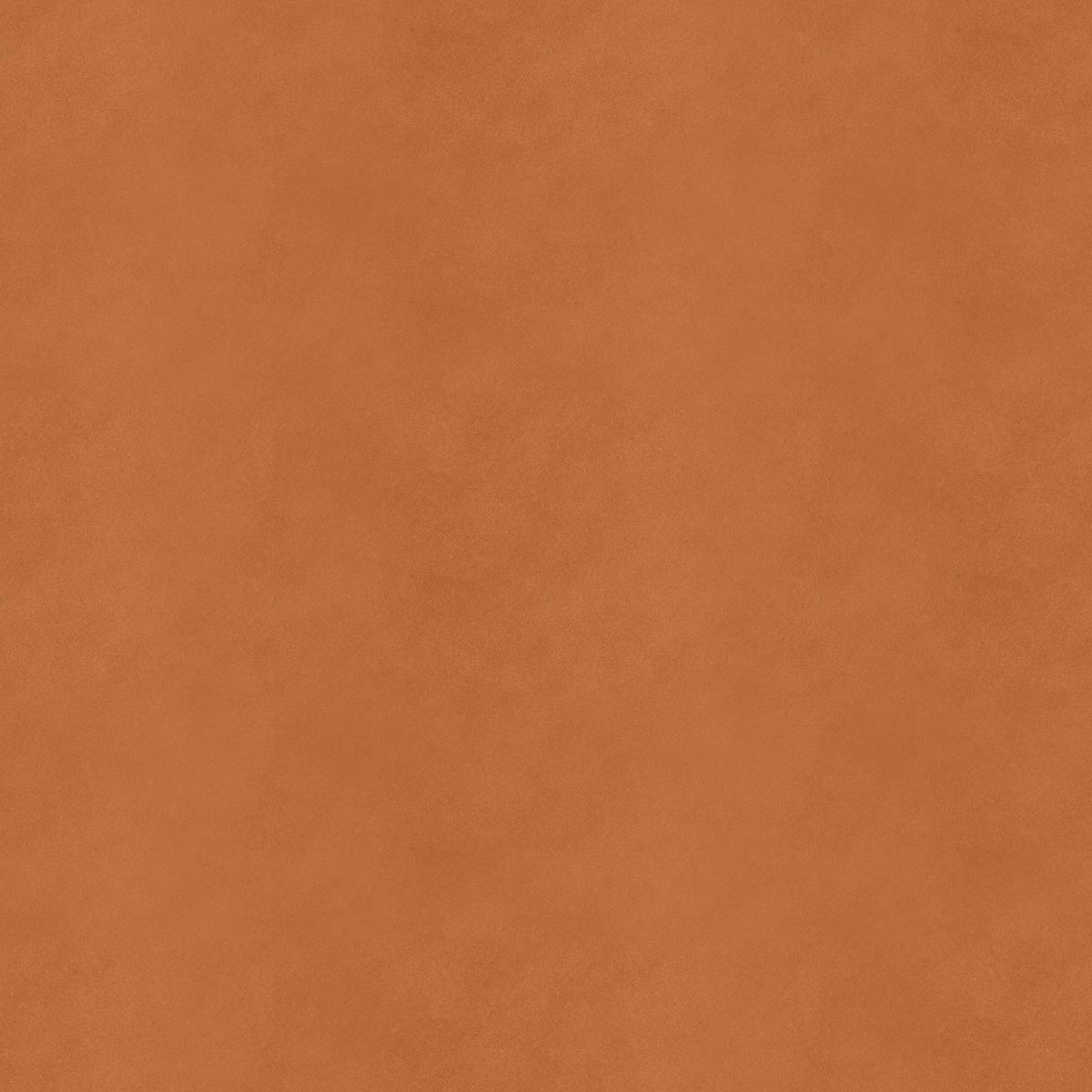 Saddle Extra Cammello pad