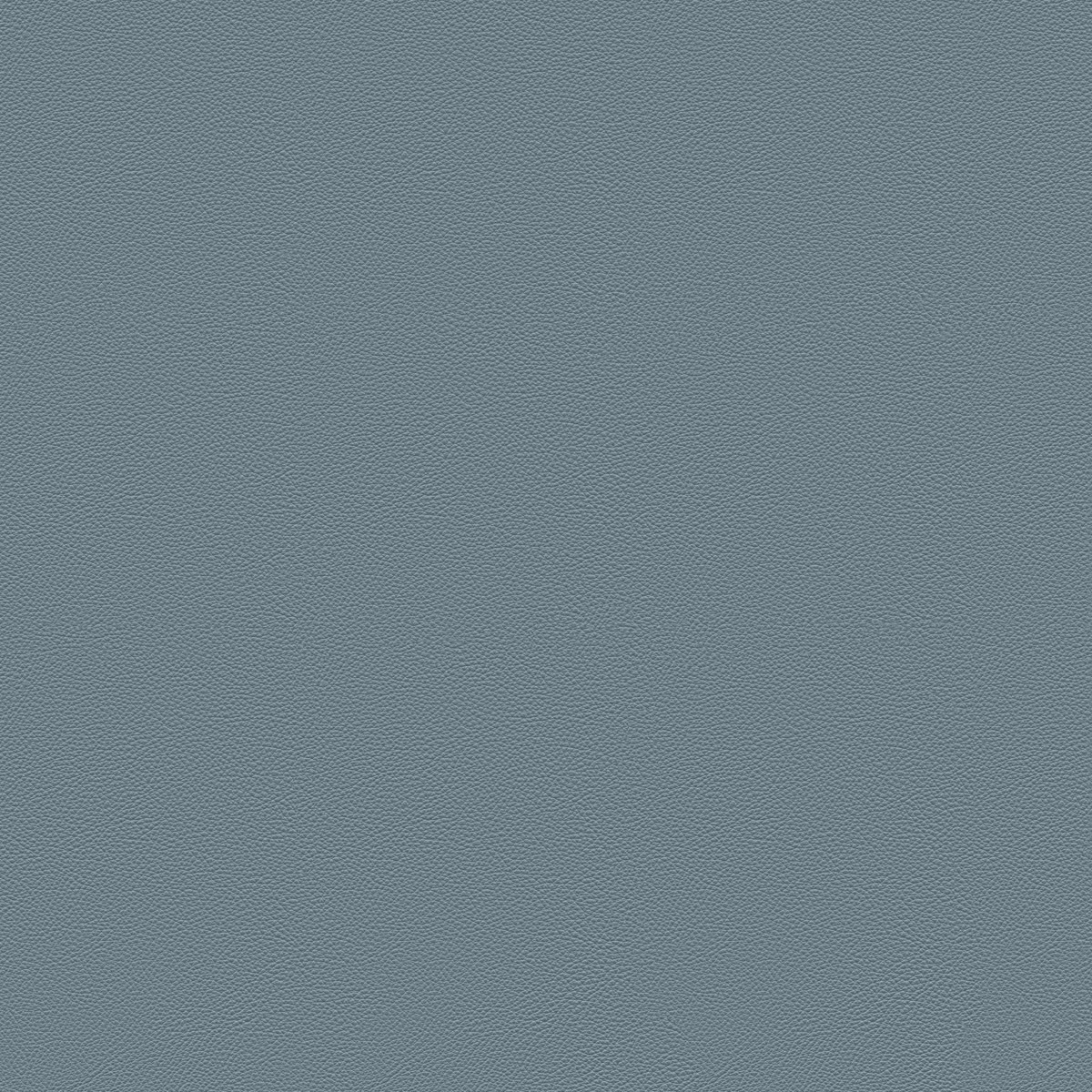 Pelle Frau SC 254-Steel Blue