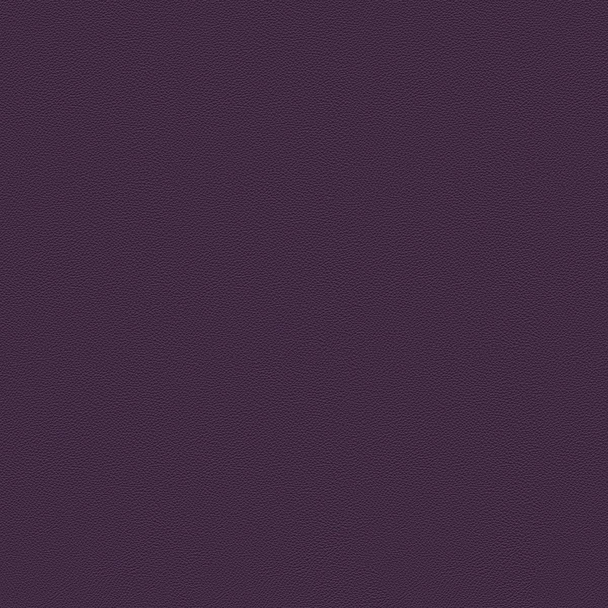 Pourpre