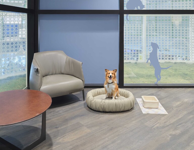 Photo inspiration: Luxury Pet Lounge Areas Reference: Poltrona Frau Designs The New Pet Area In The Leonardo