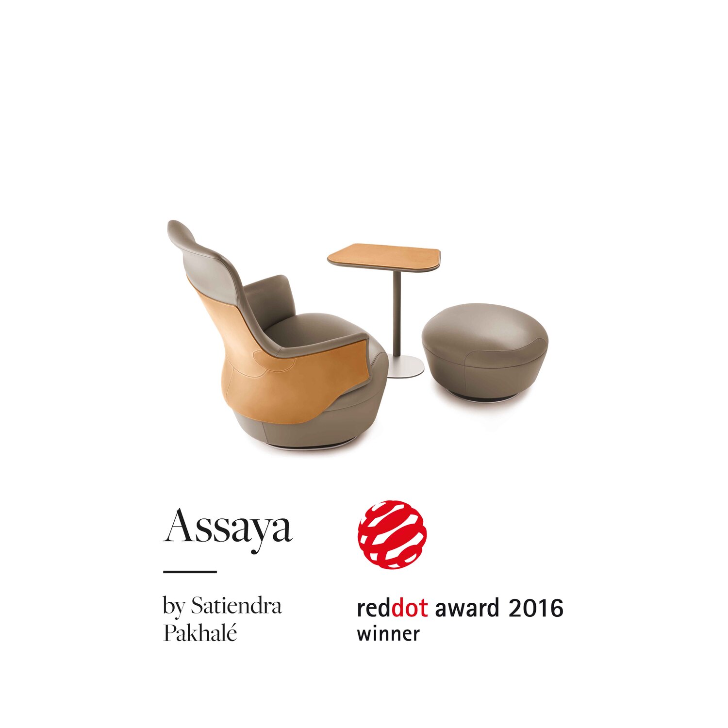assaya reddot award 2016 assaya reddot award 2016