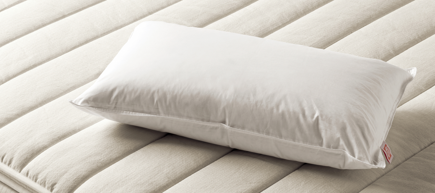 pillow hero@desktop